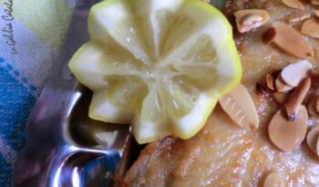 Llenguado Tere's way