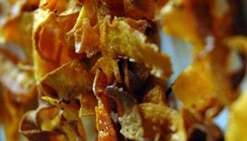 Xip de carbassa amb ganache de xocolata i mel