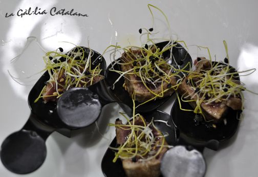 Tataki de tonyina amb oli d’oliva D.O. Siurana http://www.irreductibles.cat/cuina/2012/11/16/tataki-de-tonyina/ #CuinaIrreductible #cuinaCatalana #slowfood #dietamediterrania #km0 © By Manel Baxerias