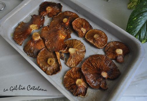 Rovellons al forn, una cocció diferent http://www.irreductibles.cat/cuina/2012/11/17/rovellons-al-forn/ #CuinaIrreductible #cuinaCatalana #slowfood #dietamediterrania #km0 © By Manel Baxerias