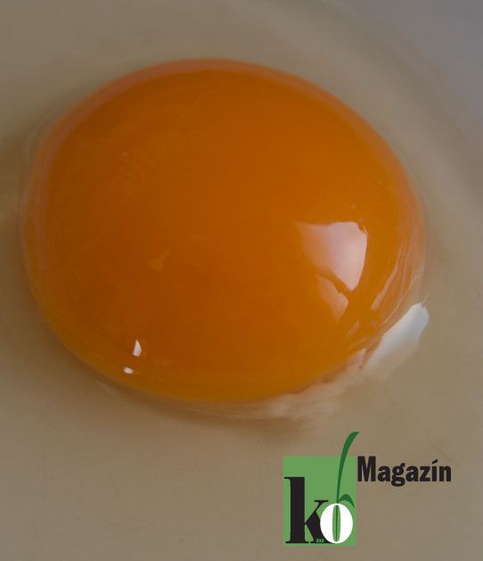 el número que ve de Km0 Magazín http://www.irreductibles.cat/cuina/2013/02/km0-n-2 #CuinaIrreductible #cuinaCatalana #slowfood #dietamediterrania #km0 © By Manel Baxerias