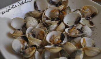 Escopinyes obertes al vapor amb oli de bitxo http://www.irreductibles.cat/cuina/2013/02/escopinyes-al-vapor-amb-bitxo/ #CuinaIrreductible #cuinaCatalana #slowfood #dietamediterrania #km0 © By Manel Baxerias