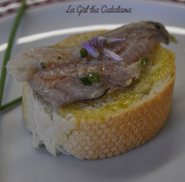 sardines de la costa confitades http://www.irreductibles.cat/cuina/2013/05/sardines-confitades/ © Manel Baxerias