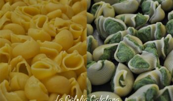 Galets farcits d’humus amb espinacs gratinats amb beixamel de bolets i vi d’Oporto. http://www.irreductibles.cat/cuina/2013/06/galets-farcits/ © Manel Baxerias