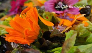 Amanida amb vinagreta d’herbes http://www.irreductibles.cat/cuina/2013/06/amanida-amb-vinagreta/ © Manel Baxerias