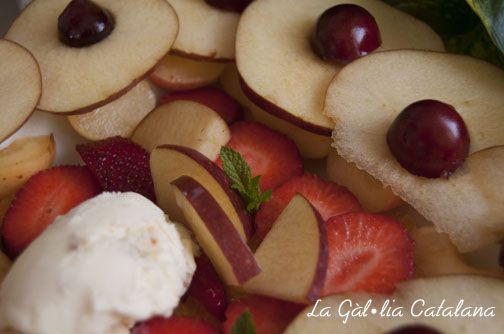 Macedònia de fruites amb gelat de vainilla i nous de Macadàmia de La Fageda http://www.irreductibles.cat/cuina/2013/06/macedonia-amb-gelat/ © Manel Baxerias