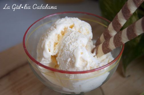 Gelat de Vainilla amb Baileys http://www.irreductibles.cat/cuina/2013/11/gelat-de-vainilla-amb-baileys/ © Manel Baxerias