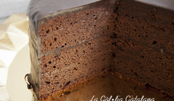 PASTÍS SACHER Sacher cake, tarta sacher #Xocolata, #Chocolate #Pastis, #Tarta, #cake #KM0 #slowfood @irreductibles.cat ©Manel Baxerias