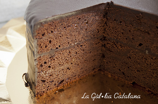 PASTÍS SACHER Sacher cake, tarta sacher #Xocolata, #Chocolate #Pastis, #Tarta, #cake #KM0 #slowfood @irreductibles.cat ©Manel Baxerias